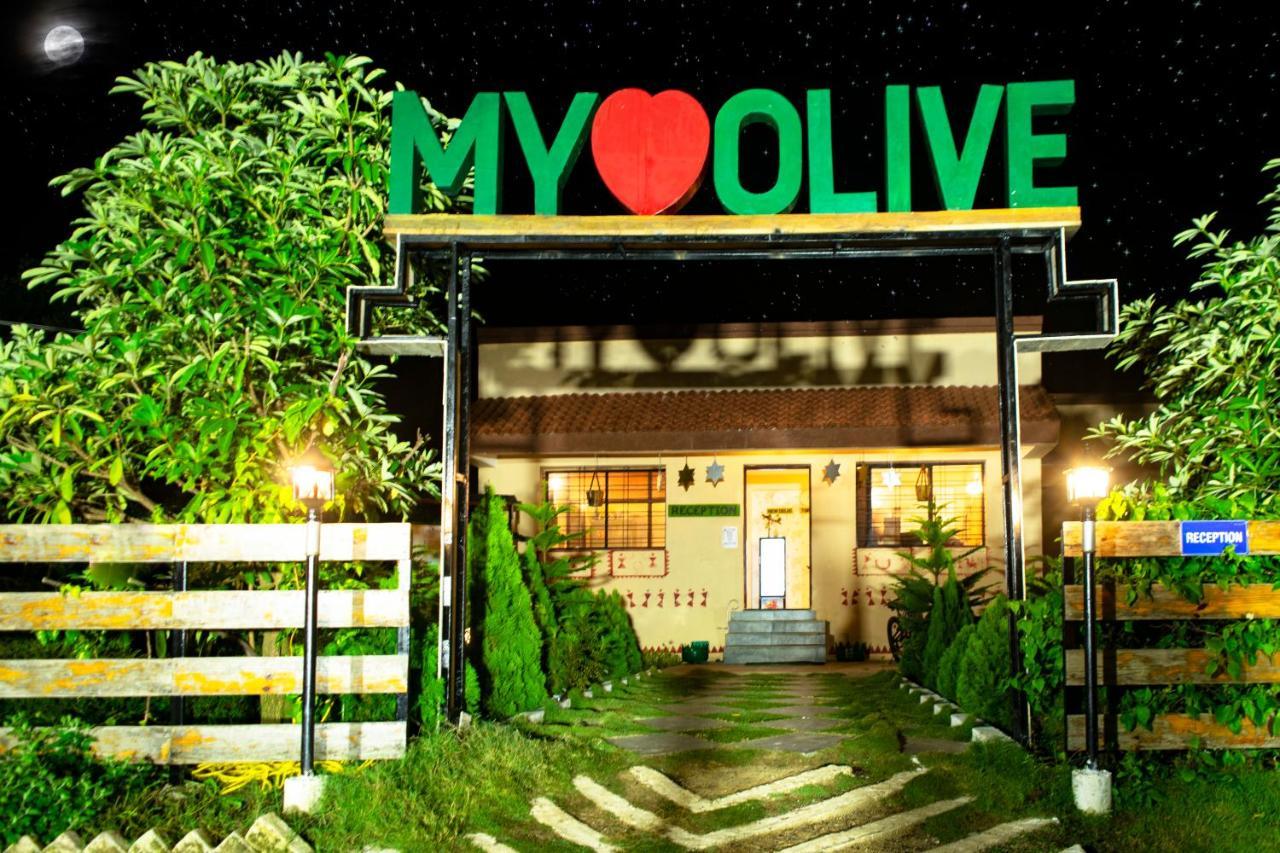 Olive Resort - Sillari Pench Silāri Eksteriør bilde